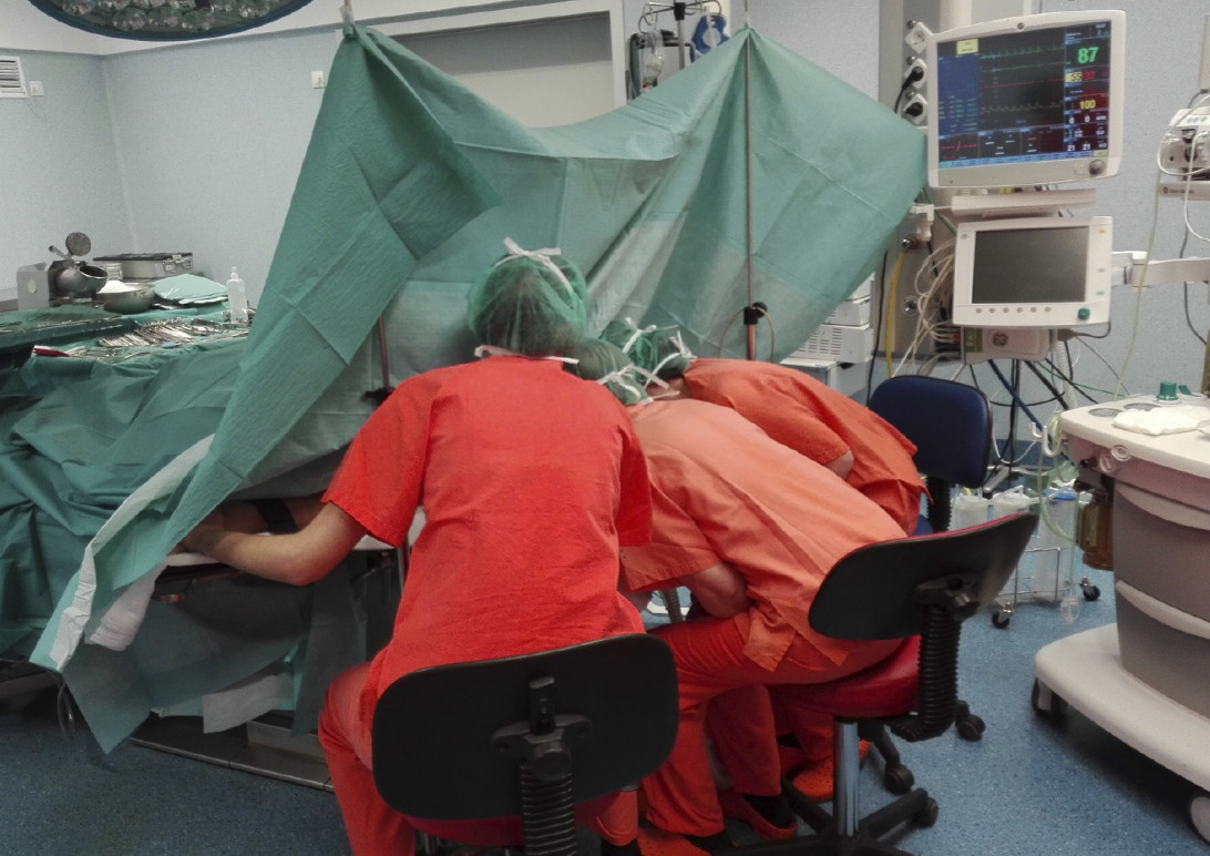 Esta imagen ilustra que: Son Espases ha registrat enguany 42 donants d'òrgans