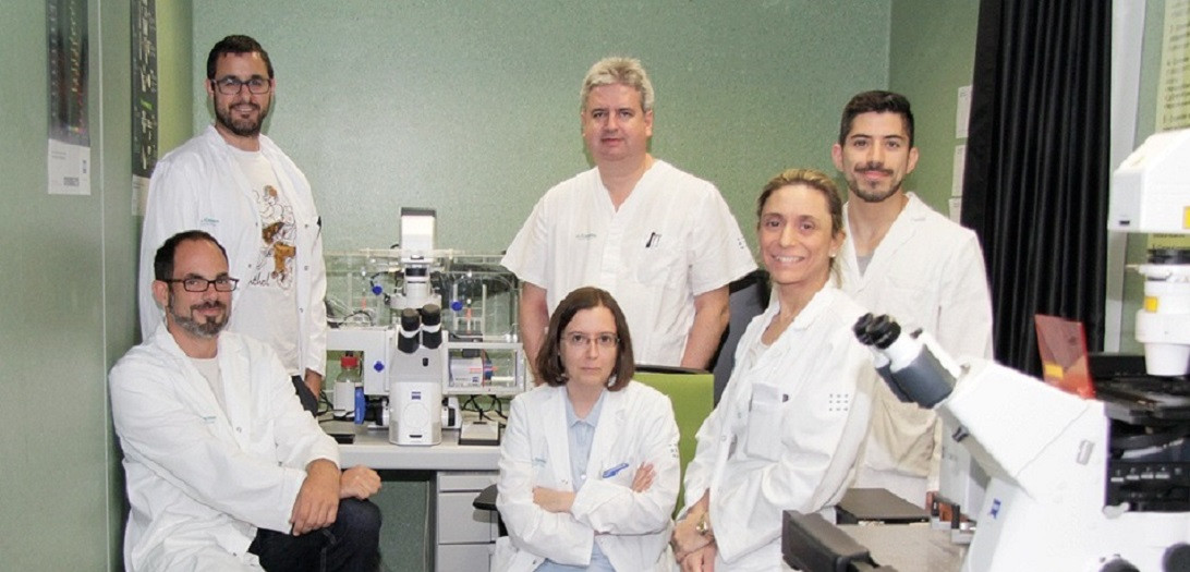 Esta imagen ilustra que: El Servicio de Neurocirugía obtiene el premio a la mejor comunicación oral en el I Congreso Internacional Neuroiberia por el estudio comparativo de un fármaco para hacer resecciones de tumore