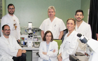 El Servei de Neurocirurgia obté el premi a la millor comunicació oral en el I Congrés Internacional Neuroiberia per l’estudi comparatiu d’un fàrmac per fer reseccions de tumors cerebrals més precises