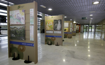 L’Hospital Universitari Son Espases acull una exposició per sensibilitzar sobre les malalties poc freqüents