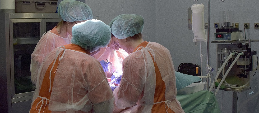 Esta imagen ilustra que: Son Espases organiza un curso de Cirugía Oncológica Peritoneal con animales