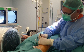 Traumatologia de Son Espases aplica una tècnica quirúrgica de radiofreqüència per eliminar el dolor dels genolls amb osteoartritis