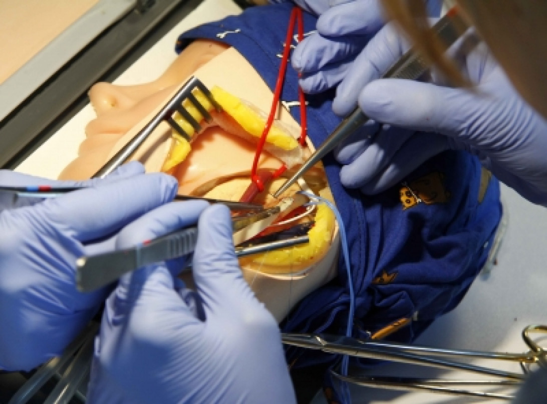 Esta imagen ilustra que: El Hospital Son Espases acoge las segundas jornadas de formación en cirugía carotídea