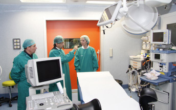 160 dones se sotmeten cada any a tècniques per aconseguir la gestació a la Unitat de Reproducció de l’Hospital Universitari Son Espases