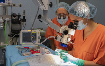 El Servei de Traumatologia organitza un curs de microcirurgia amb animals d’experimentació per a residents