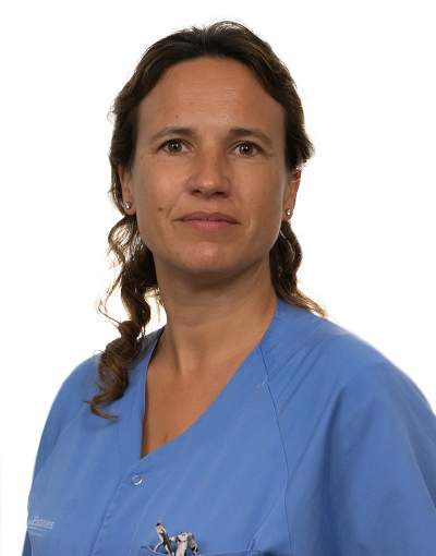 Maria Tejedor Mestre Maria Tejedor Mestre