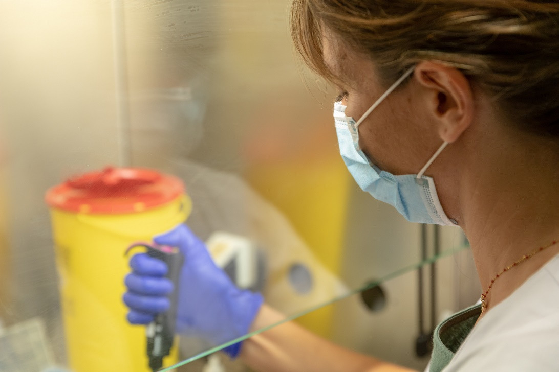 Esta imagen ilustra que: El Servicio de Microbiología informa sobre variantes del SARS-CoV-2 detectadas en las Islas Baleares