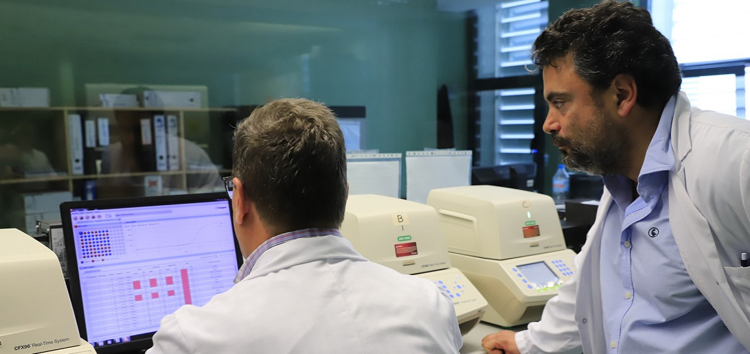 Esta imagen ilustra que: Actualización del Servicio de Microbiología sobre secuenciación de variantes del Sars-Cov-2 en las Islas Baleares