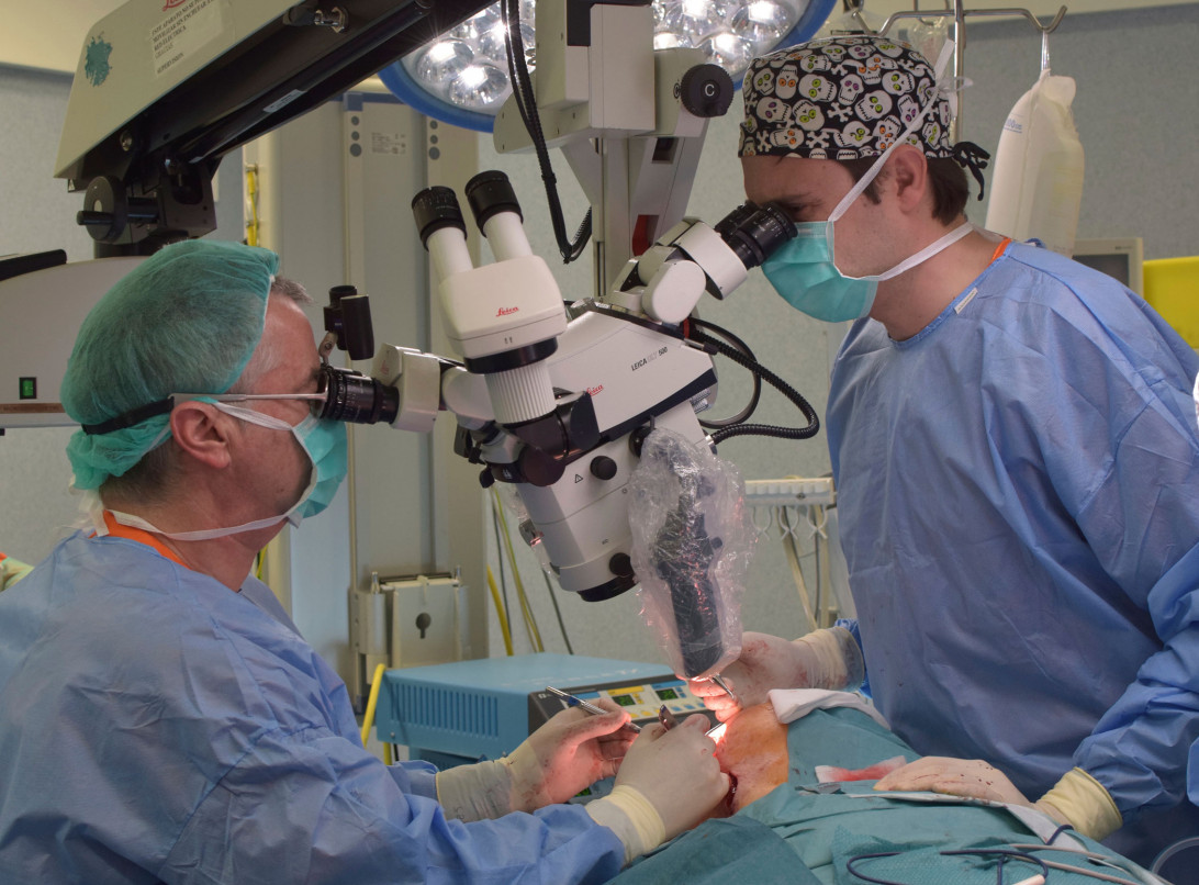 Esta imagen ilustra que: Son Espases tanca el mes d'agost amb el major nombre d'intervencions quirúrgiques realitzades: 1.930